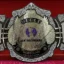 Undertaker 30 Years Signature Series Wrestling Championship belt