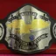 NWA Universal Heavyweight Wrestling Championship Title Belt