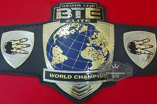 BTE World Championship Leather Belt 24KT Gold Zinc 4MM Plates