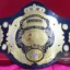 PWF Triple Crown World Heavyweight Wresting Championship Belt