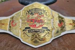 NEW TNA Knockouts World Wrestling Championship Pure Leather Belt (2024)