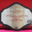 WWF Hulk Hogan 1984 World Heavyweight Wrestling Championship Belt