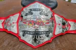 NEW TNA World Tag Team Wrestling Championship Pure Leather Belt