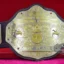 Ric Flair Brown Strap World Heavyweight Championship Belt