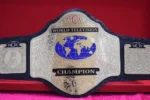 WCW World Television Wrestling Championship Belt