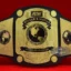 AEW Women's World Wrestling Championship Belt