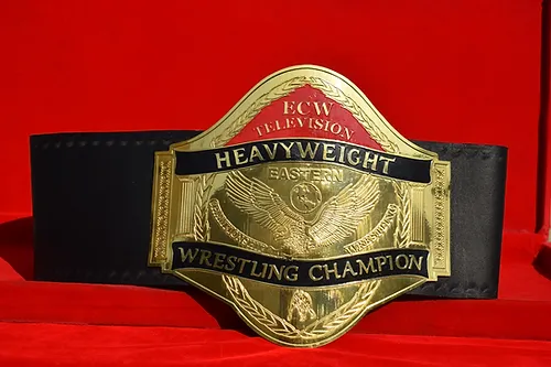 ECW World Television Championship Adult Size Belt