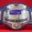 ECW Heavyweight Wrestling Championship Belt