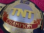 AEW World Championship Heavy Weight Wrestling Title Belt