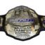 Impact World Championship Heavyweight Wrestling Title Belt