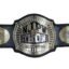 NJPW Strong Openweight Wrestling Championship Title Belt