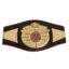 IBU INTERNATIONAL BOXING UNION CHAMPIONSHIP BELT