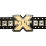 NXT Wrestling Championship Title Belt