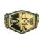 NXT Tag Team Wrestling Championship Title Belt