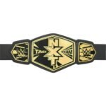 NXT Tag Team Wrestling Championship Title Belt