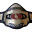 NWA Western States Wrestling Championship Heavyweight Belt