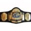 NWA World TAG TEAM Wrestling Championship Title Belt