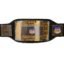 NWA Mid America Heavyweight Champion Dual Plated Title Belt