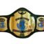 WCW World Heavyweight Wrestling Championship Belt