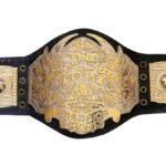 TNA World Heavyweight Wrestling Championship Belt