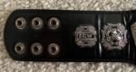 WWE ECW Championship Replica Mini Belt