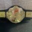 World Heavyweight Big Gold Championship Wrestler Champion wwe Belt Replica Model