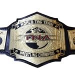 TNA World Tag Team Wrestling Championship Heavyweight Belt