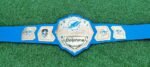 New Miami Dolphins Legacy Wrestling Champion ship Belt Adult Size Replica 2MM