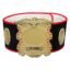 TITLE BOXING LEGACY CHAMPIONSHIP BELT