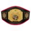 TITLE BOXING PLATINUM CHAMPIONSHIP BELT