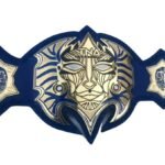 TNA Immortal Jeff Hardy Heavyweight Championship Title Belt