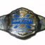 TNA IMPACT Wrestling Championship Title Belt