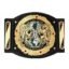 WWE NXT UK Tag Team Wrestling Championship Title Belt