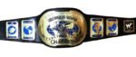 WWF Intercontinental IC Oval Heavyweight Championship Belt